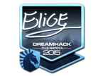 EliGE (Foil) | MLG Columbus 2016 image